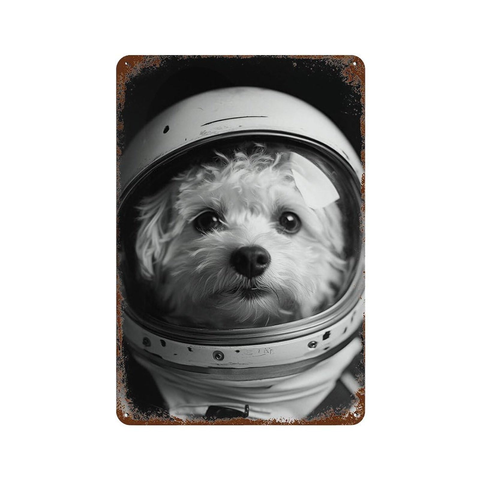 xiaoxiaoshen Astronaut Helmet, Wall Decor Art Metal Tin Poster Modern Home Decor Art Home Bar Shop Decorations Vintage Sign 30x20cm