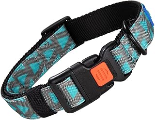 boy dog collars amazon