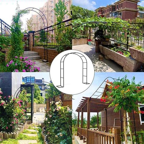 Support pour plantes intérieur extérieur et arche de jardin grand format