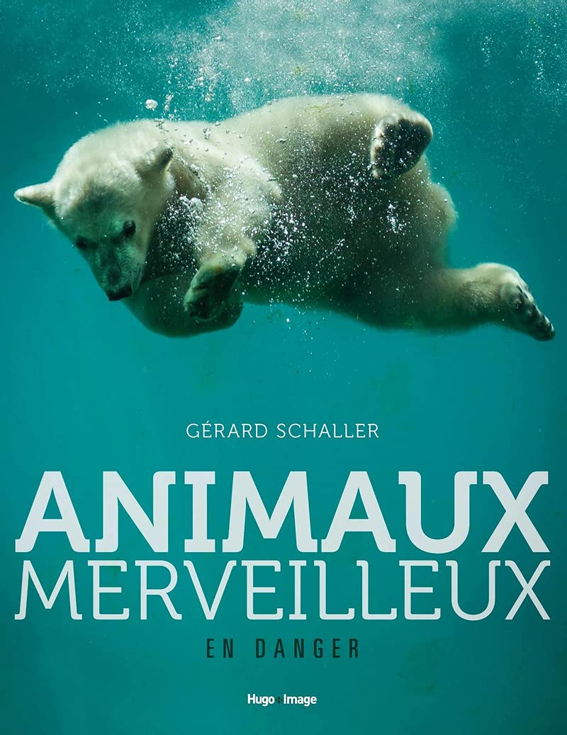 Animaux merveilleux en danger : support pédagogique idéal pour les activités scolaires