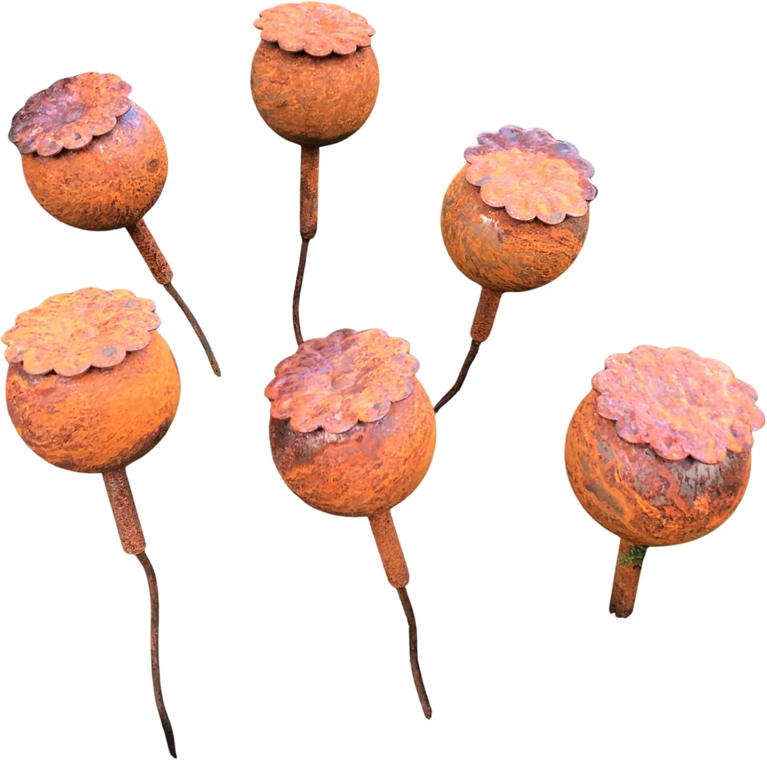 Rusty Flowers Set of 6 – Poppy Seed Head Garden Decor, Metal Garden Art, Rustic Yard Sculpture