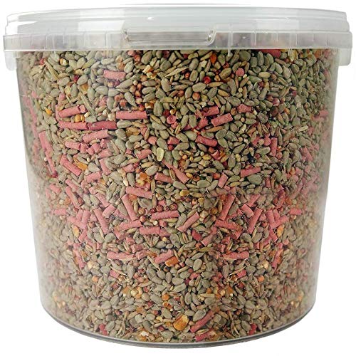 SQUAWK Wild Bird Food Mix