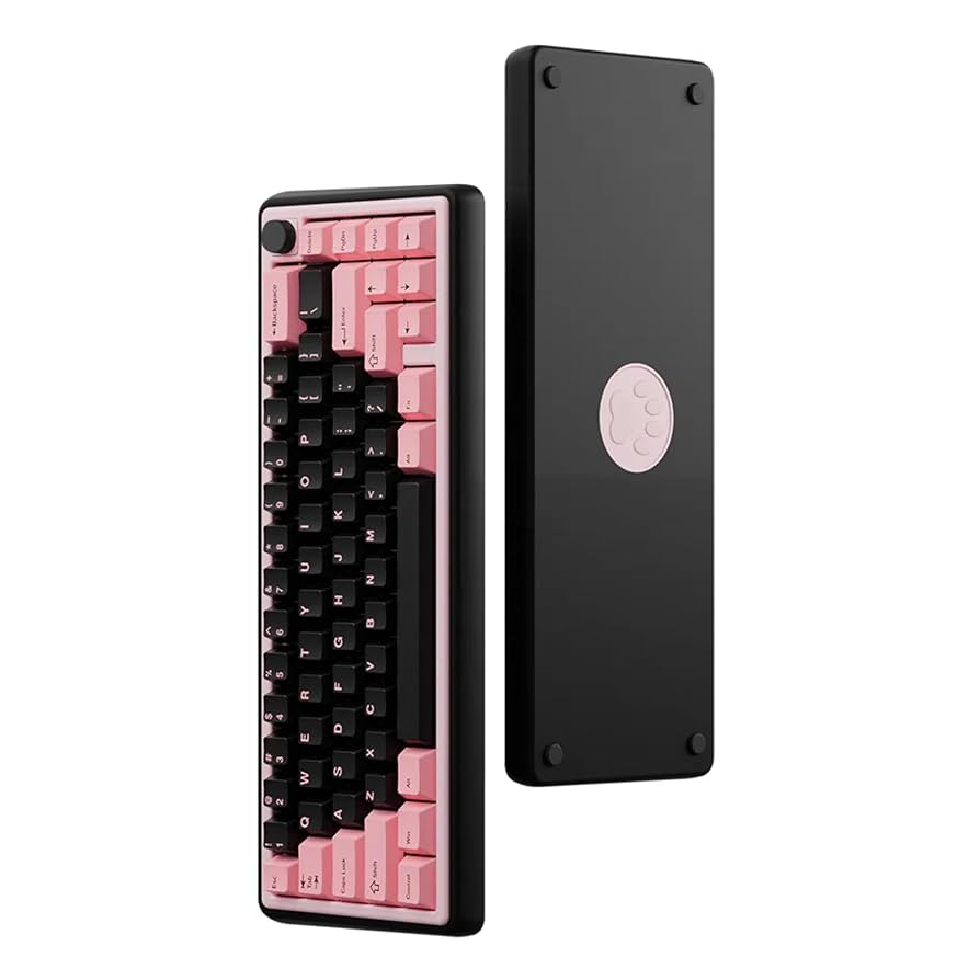 i♡ Amazon.com: OOCTPK Chilkey Foxy65 Mechanical Keyboard with