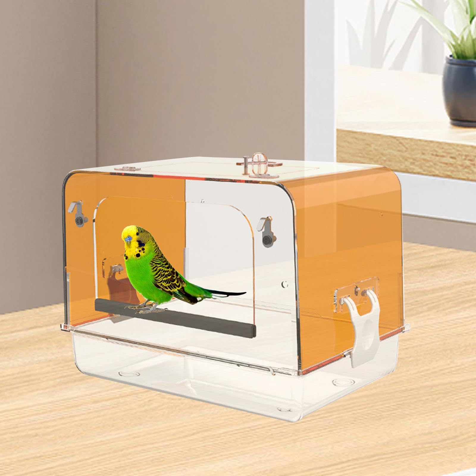 Baignoire Spa pour Oiseaux pour à Plumes, Orange