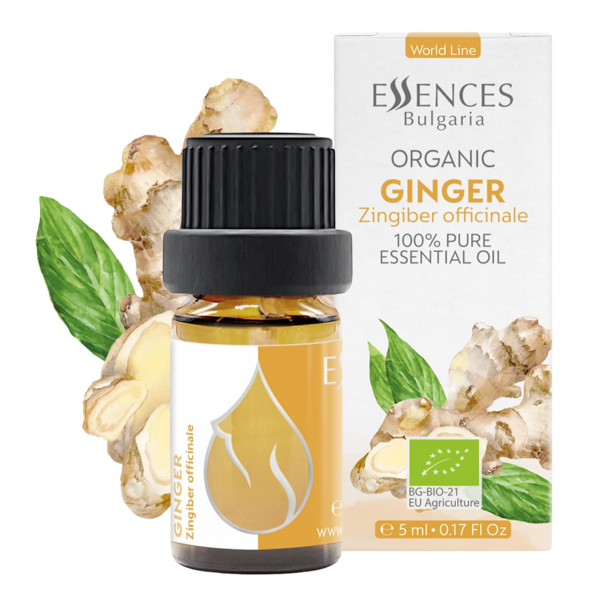 Essences Bulgaria Huile essentielle de gingembre bio 5 ml Zingiber  officinale – Huile d'aromathérapie 100 % pure et naturelle non diluée de  qualité thérapeutique pour diffuseur, humidificateur, drainage lymphatique  et massage :