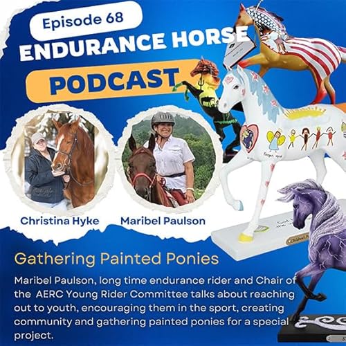 Gathering Painted Ponies with Maribel Paulson