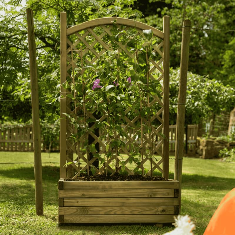 Burger Efeu-/Blumenkasten aus Holz mit Rankgitter : Amazon.de: Garten