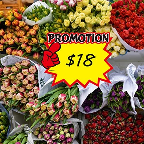 iplusmile 50pcs Promotion Price Tags Retail Sale Signs Price Tags, Blank Star Retail Sale Signs Price Tags Burst Paper Signs for Retail Store Grocery Shop