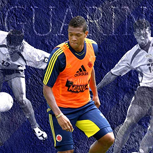 『Fredy Guarín: entre depresión y gloria, el sufrimiento va por dentro』のカバーアート