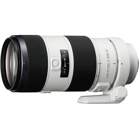 Sony Sal 700g Teleobiettivo Con Zoom 70 0 Mm F2 8 Serie G Reflex Full Frame Attacco A Sal700g2 Amazon It Elettronica