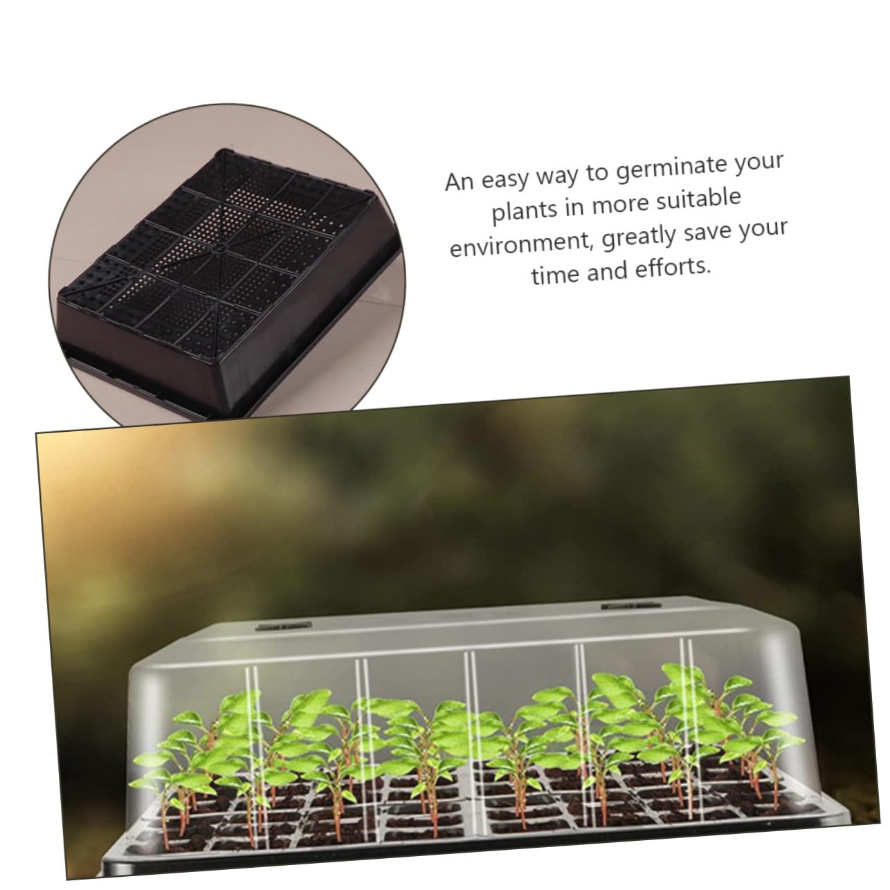 1ensemble Plateau De Germination Reutilisable Plastique pour De Trays pour Débutants Jardinage pour Pépinières Et Cultures Intérieur