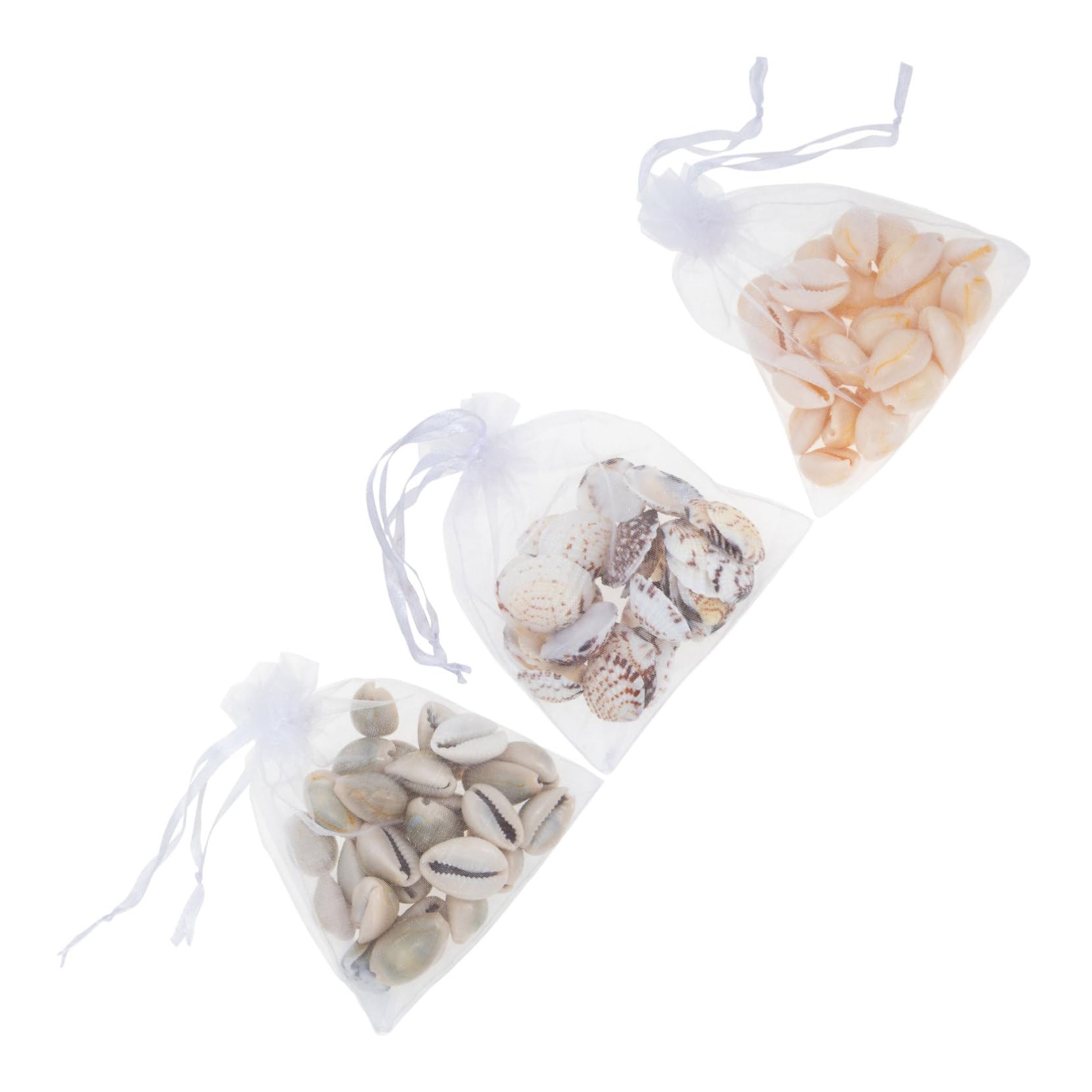 COSMEVIVI DIY Jewelry Making Shell Natural Shell and Conch Smooth Surface Safe Material Beading Projects Accessory