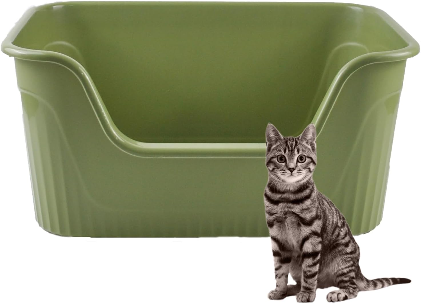 Large Low Entry Cat Litter Box High Side,21.45 x 16.14 x 10.43 Inches Cat Litter Pan Tray One Piece Anti Splashing Easy Clean for Small Medium Kitten(Gray)