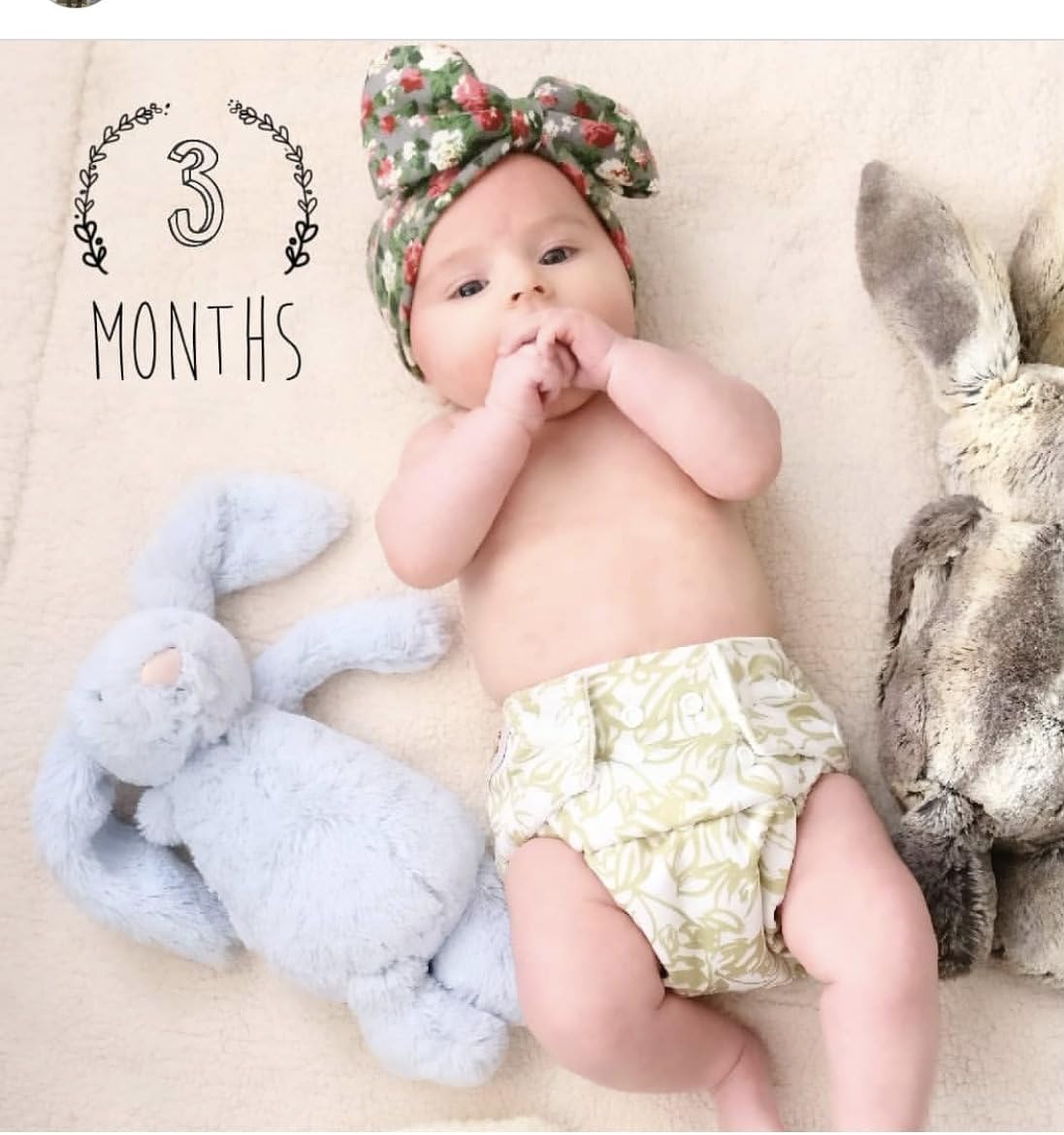 KaWaii Baby 12 One Size Printed Snap Cloth Diapers with 12 One Size Diaper Inserts Waterproof Reusable Fit Babies 8-36 lbs (12 Diapers + 12 Microfiber Inserts)