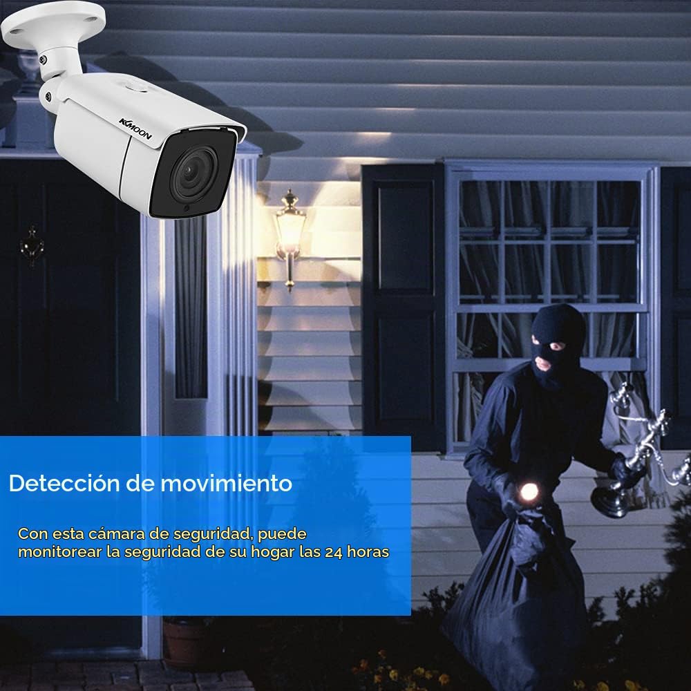 Cámara analógica 1080P al aire libre IP66 Cámara CCTV impermeable incorporada 24 piezas LED infrarrojos, de paletas de visión nocturna de 82 pies
