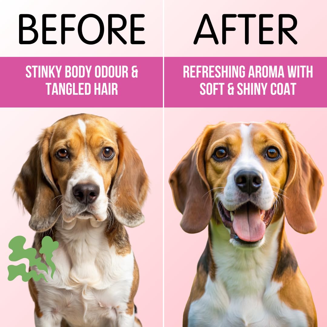 Humane & Hound PawLish Professional Salon Series Dog Shampoo with Conditioner for Short Coat Dogs - 500 ML 3