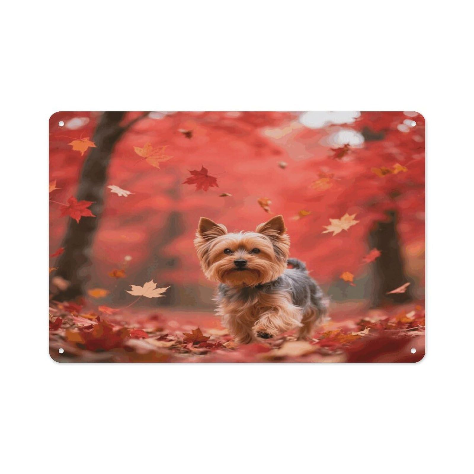 VstaDank Yorkshire Terrier in Maple Forest Wall Art Prints Metal Sign Decor Painting Aluminum Wall Hanging Decor Vintage Poster Sublimation Picture Panel Weatherproof Art Decorative Wall Decors