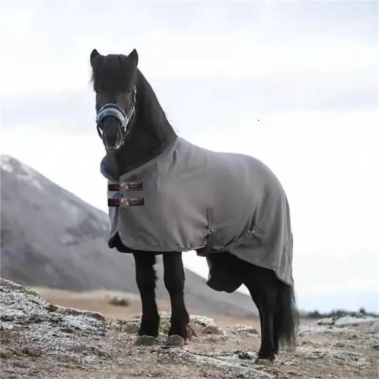 Tappeto for Affluenza Di Cavalli In Autunno | Fodera in pile leggera e traspirante, perfetta for il clima mite e le attività quotidiane del cavallo