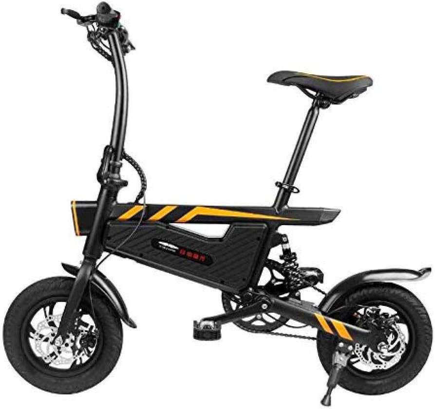 bicicletta elettrica a lungo raggio per adulti