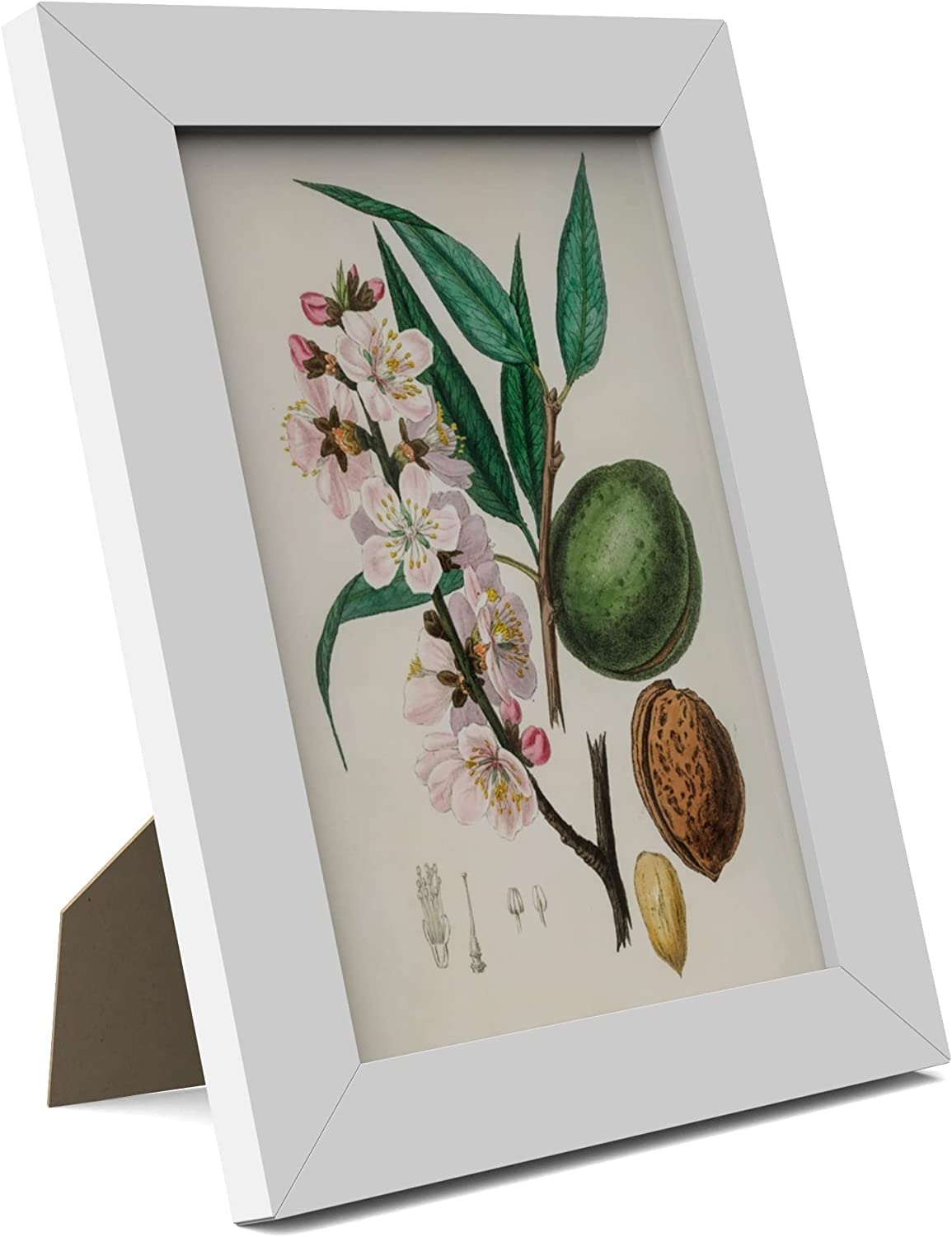 Mh Traders White 3 Pack A5 Picture Frame - Freestanding And Wall Mounted Photo Frame For Pictures Posters & Certificates - 15 X 21 Cm A5 Size Compact Picture Frames
