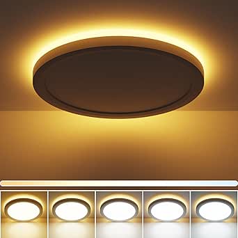 Fairdeer 15 Inch LED Ceiling Light with Night Light, 30W 3200LM 3000K ...