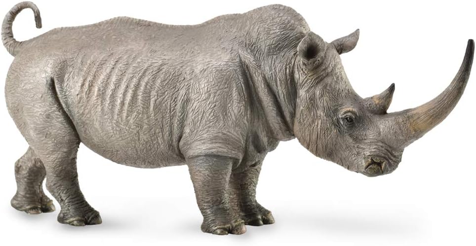 White Rhinoceros