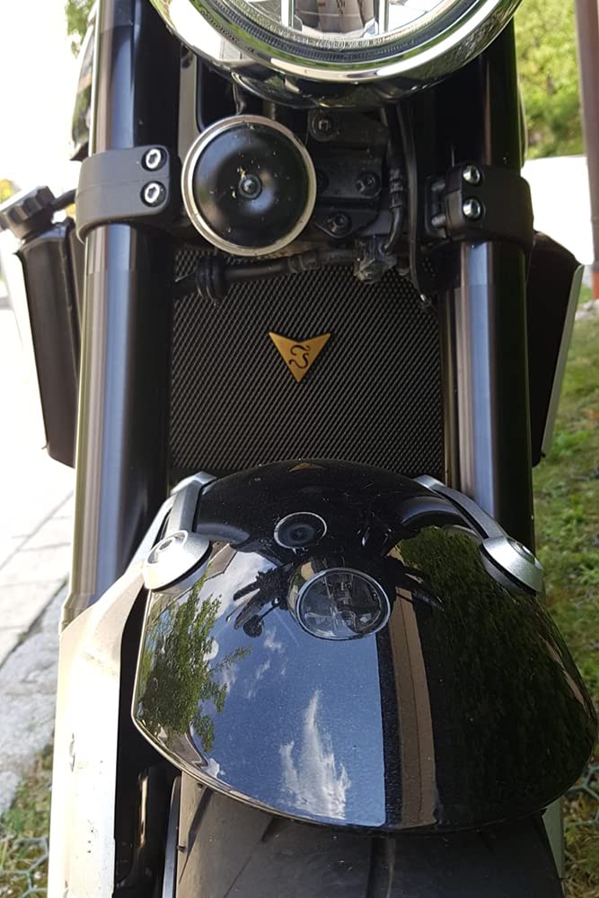 Griglia Di Protezione Radiatore In Acciaio Inox Per Kawasaki Z250 (2013-14), Z300 (2015-18), Ninja 250R (2008-12) E 300R (2013-17) – Montaggio Diretto Senza Modifiche
