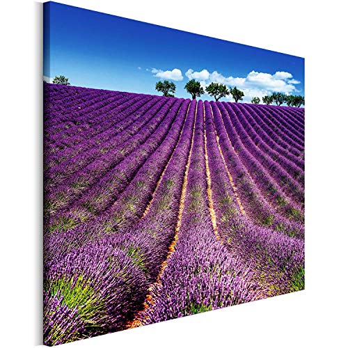 Revolio 40x30 cm Impression sur Toile Murale Tableau Art Peinture Image Motif Moderne Décoration pour Le Salon Intérieur Photo - Lavande Champs de Lavande Provence Violet