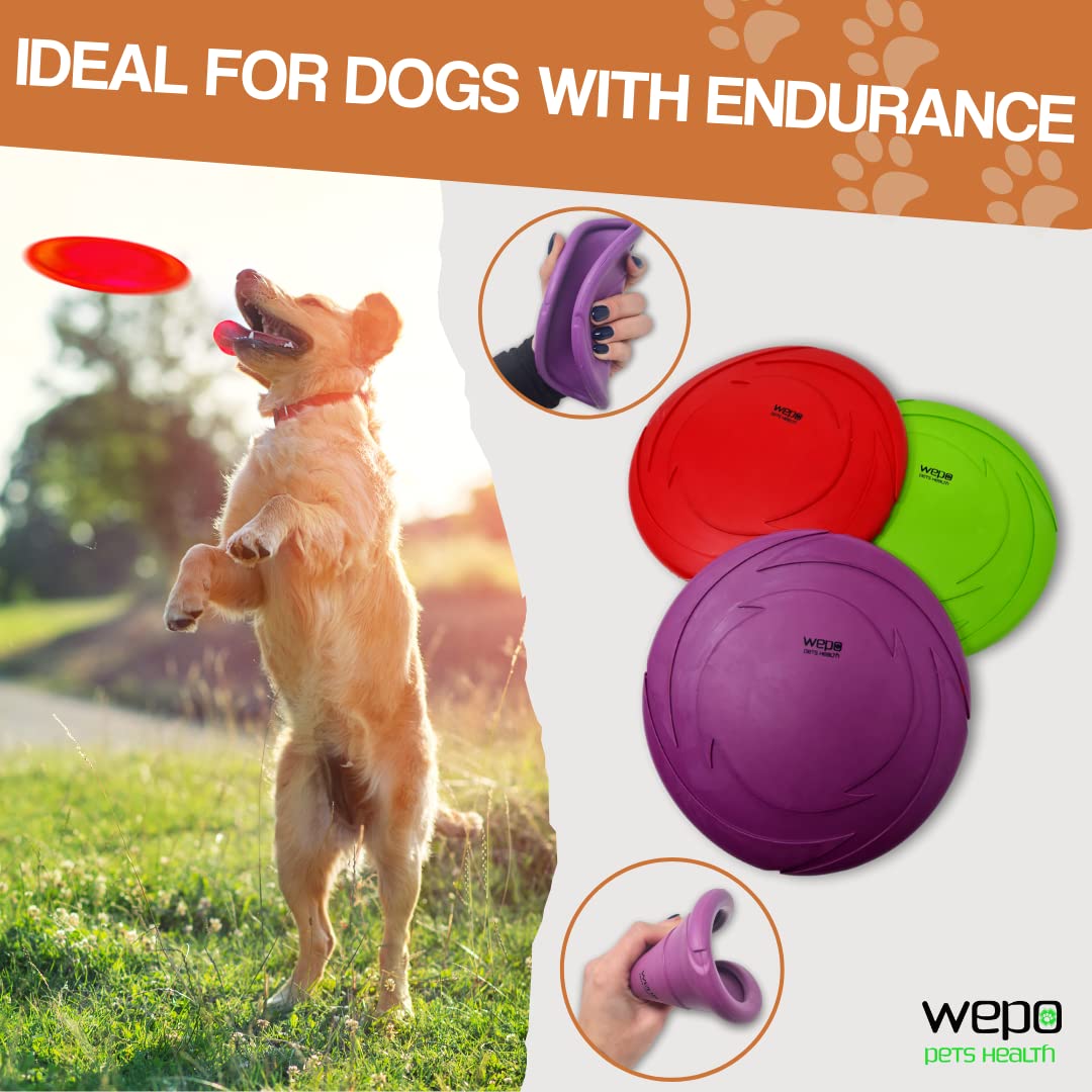 WEPO Dog Frisbee, Diameter 15 cm, Set of 3, Dog Toy for Small Dogs Water Toy, Dog Frisbee, Throwing Toy in Red/Purple/Green - Image 4