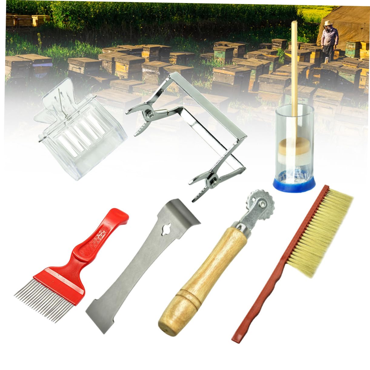 Happyyami 7 Pz Accessori Per L'apicoltura Attrezzi Per Il Dell'apicoltura Attrezzi Per L'apicoltura Strumenti Per L'apicoltura Attrezzo Di Legno Ape Regina