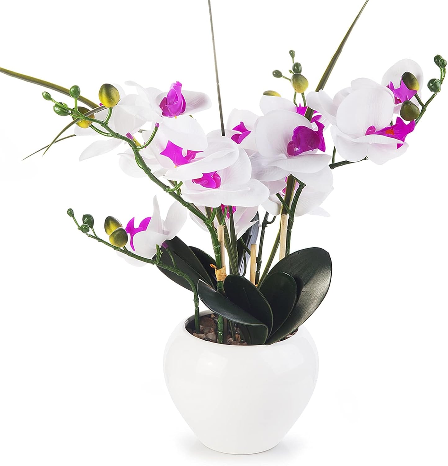 ENOVA FLORAL Orchid Artificial Flowers with Vase, Real Touch Potted Orchids Flower Arrangement in Ceramic Pot for Dining Table Centerpieces, Home Decor (Purple Cream