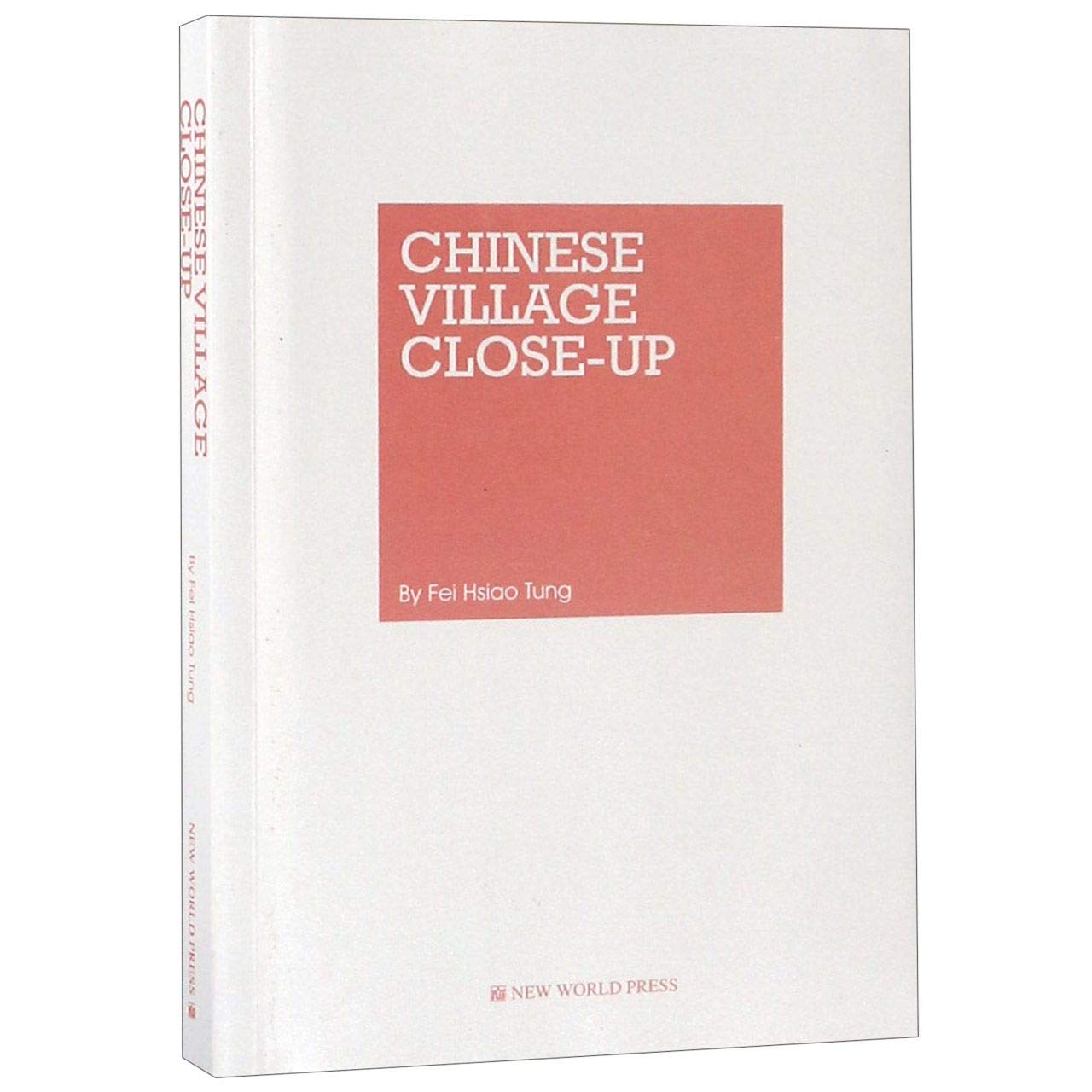 Chinese Village Close-up