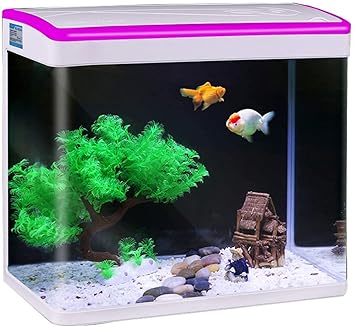 fish tank online