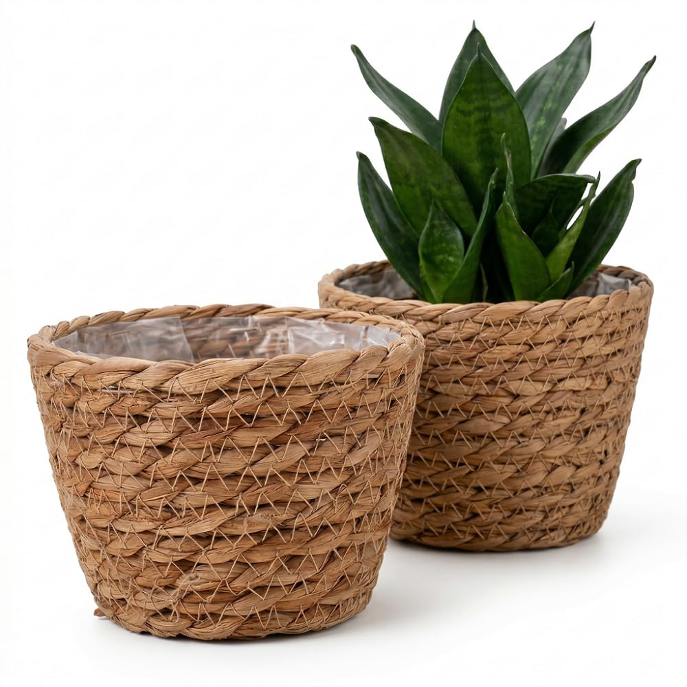 Pots de fleurs en jonc de mer pour créer un coin de verdure bohème au salon