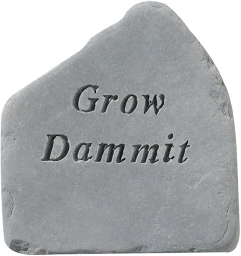 Kay Berry Grow Dammit Accent Rock