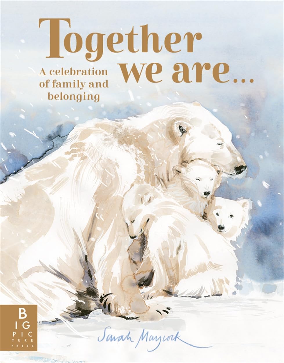 Together We Are...: A Celebration of Family and Belonging (Sarah Maycock)
