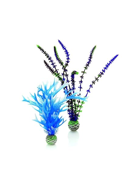 biOrb Juego de plantas de color azul y lila en tamaño M