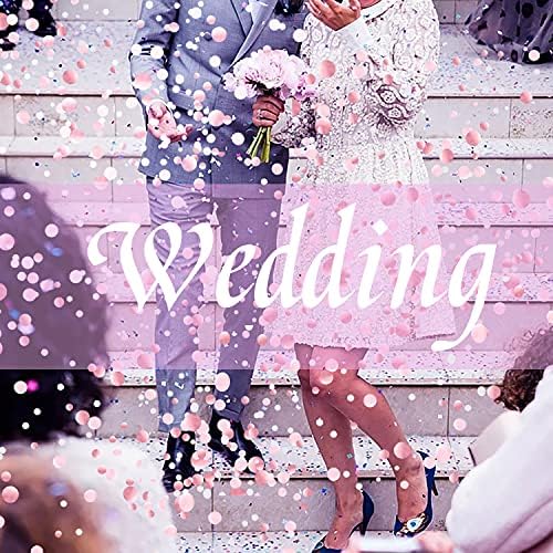6000 Pcs Rose Gold 1 inch Confetti, Party, Birthday Decoration, Wedding, Anniversary, Round, Paper, Foil (Rose Gold, White, Light Pink) (Rose gold-6000Pcs)