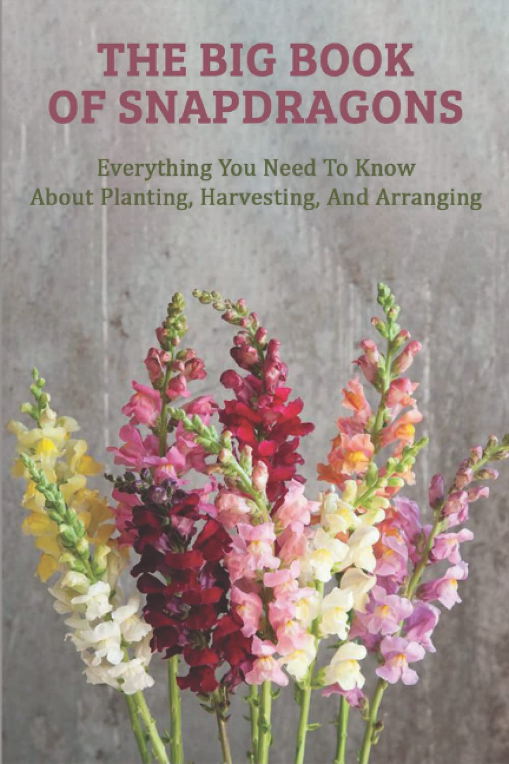 Buy The Big Book Of Snapdragons Everything You Need To Know About ing