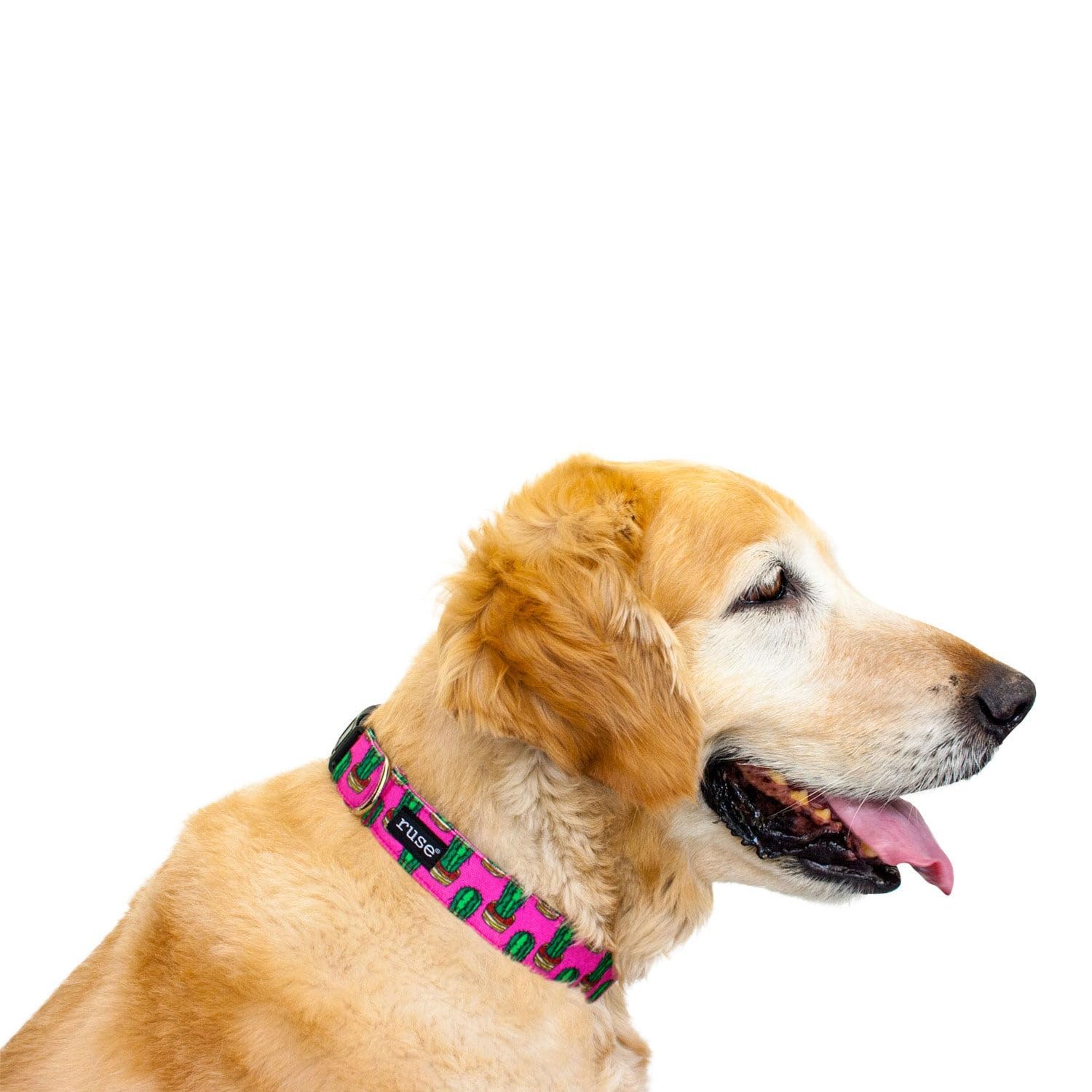 Ruse Neck Adjustable Dog Collar Allover Printed Durable Sturdy Comfortable Skin-Friendly Light-Weight Gift for Puppy, Small, Medium & Big All Breed Dogs Collar. (Cactii/Large) (B0CBCTLQ4B) Amazon Price History, Amazon Price Tracker