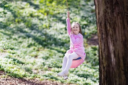 Miniatura 2 de CTSC Columpio de cuerda de escalada con nudo y juego de asiento de columpio de disco, escalera de cuerda para niños al aire libre, árbol, patio