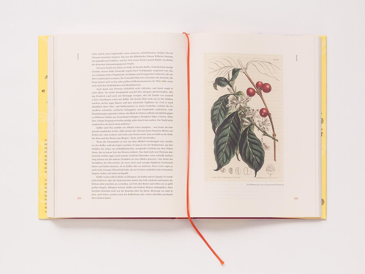 Leere Töpfe, volle Töpfe: Die Kulturgeschichte des Essens und Trinkens (Foliobände der Anderen Bibliothek, Band 23)
