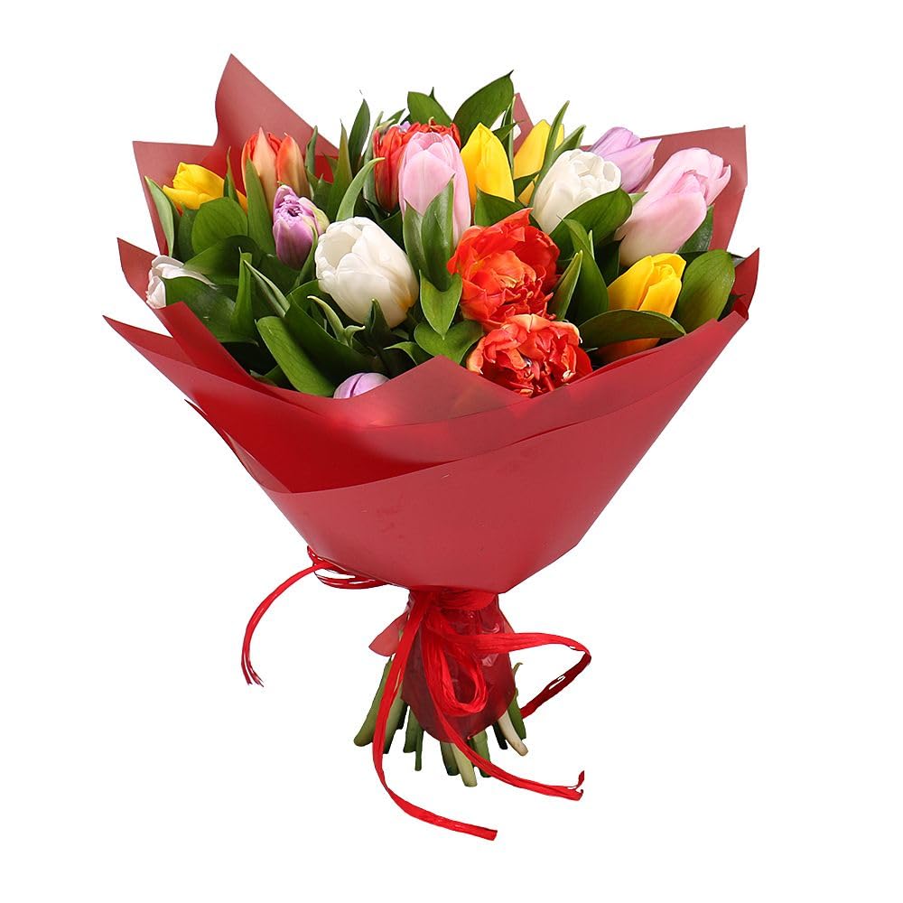Ramo de Tulipanes Naturales Mix Color con 50 Flores en Presentación Premium para Detalles Especiales Tulipanes Premium