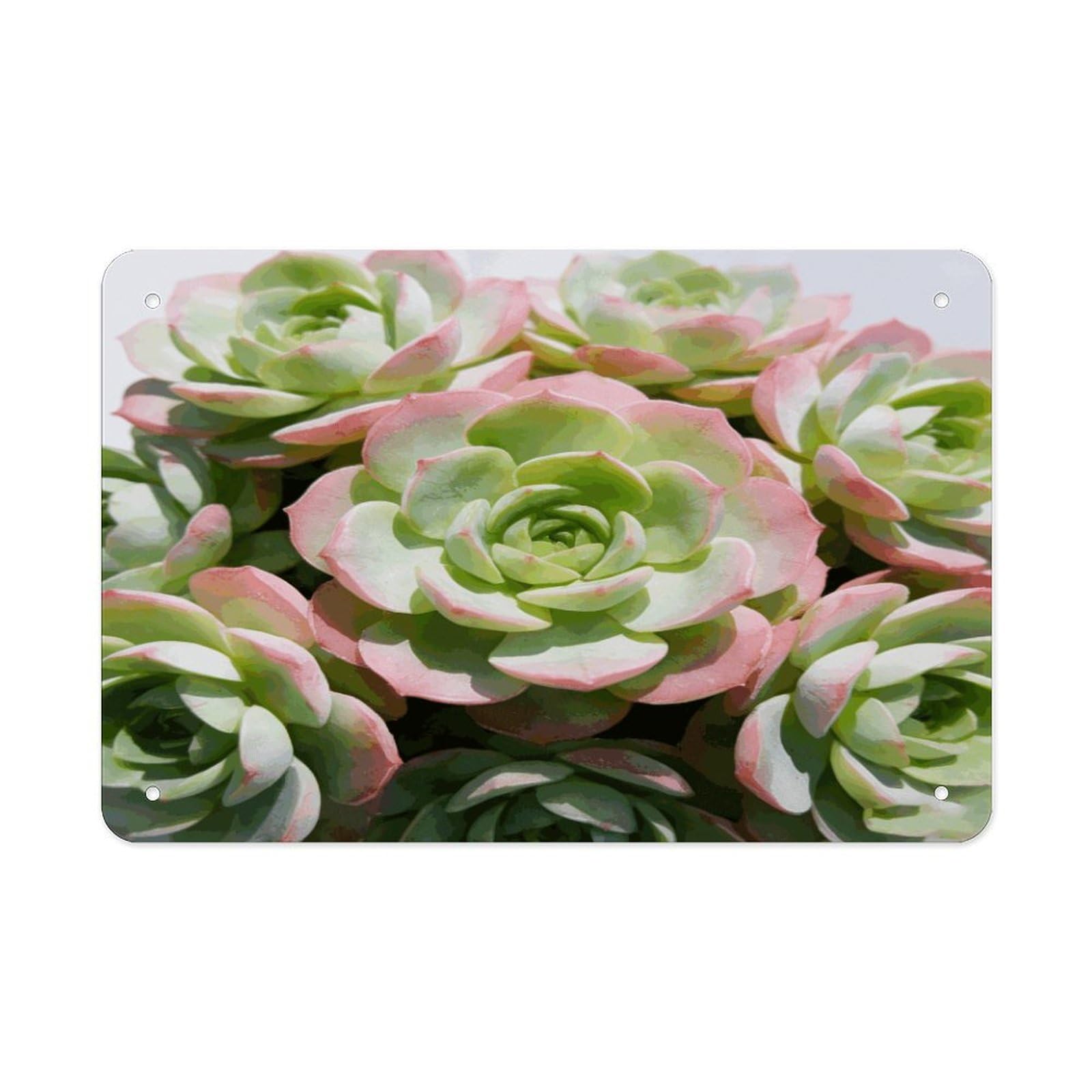 Fodpand Style Watercolor Succulent Plants Wall Art Metal Tin Signs Bar Metal Tin Sign Wall Decor For Home Living Room Bedroom Toilet Hotel Halloween Decor Gifts 7.9X 11.8 Inch
