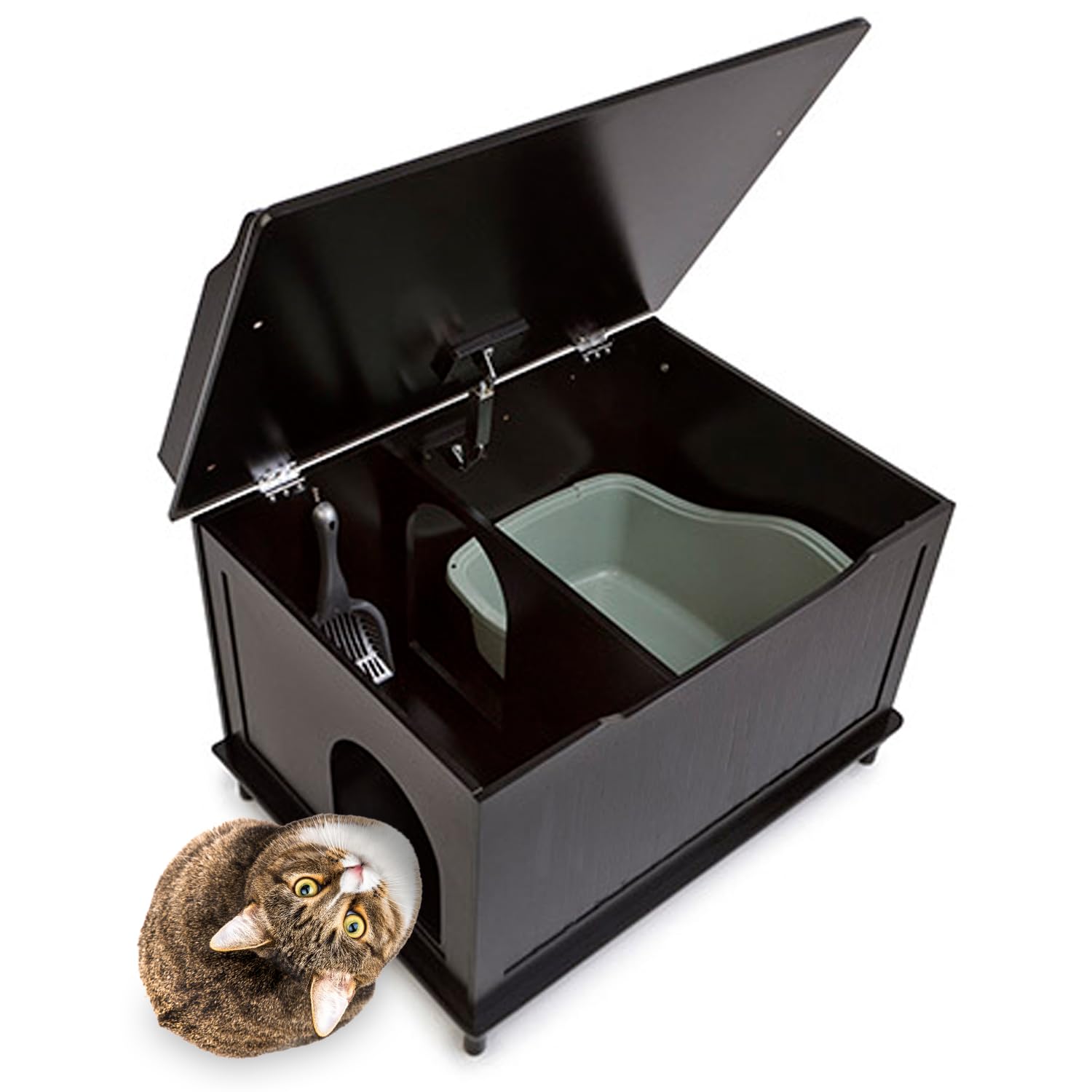 Buy Designer Catbox Litter Box Enclosure in Black Online at Low Prices