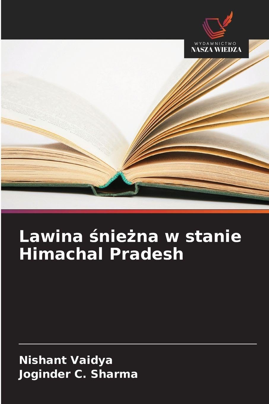 Lawina śnieżna w stanie Himachal Pradesh
