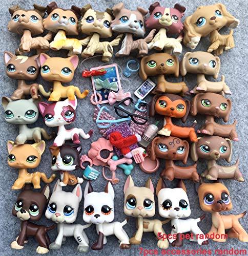 lps and lps accessories