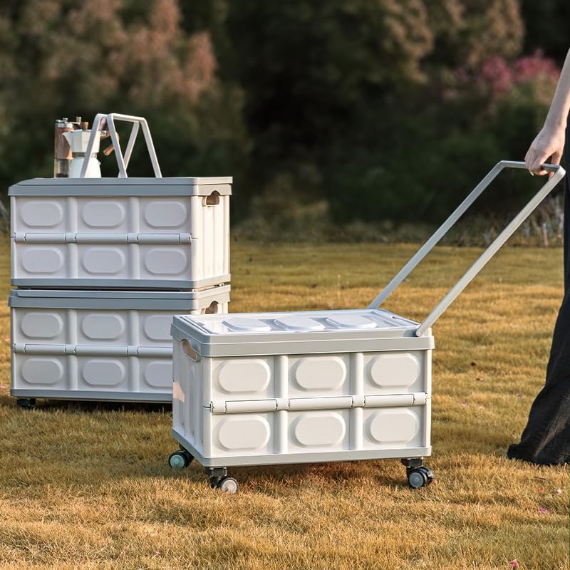 小田急　もころん　駅貼りポスター　ミニサイズ　コンプリートセット 小田急 もころん 駅貼りポスター ミニサイズ コンプリートセット