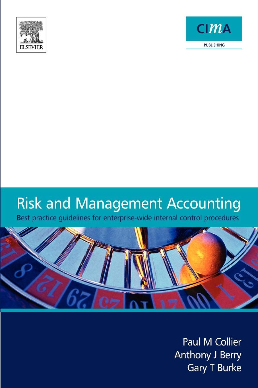 Buy Risk and Management Accounting: Best Practice Guidelines for Enterprise-Wide Internal Control Procedures — BookShops.in
