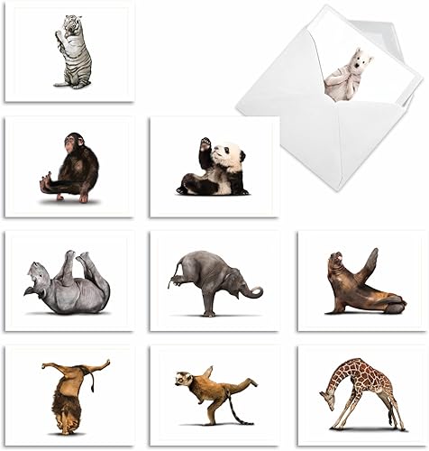 The Best Card Company - 10 notas de agradecimiento en caja con sobres, varios artículos de papelería para decir gracias para hombres y mujeres - Zoo